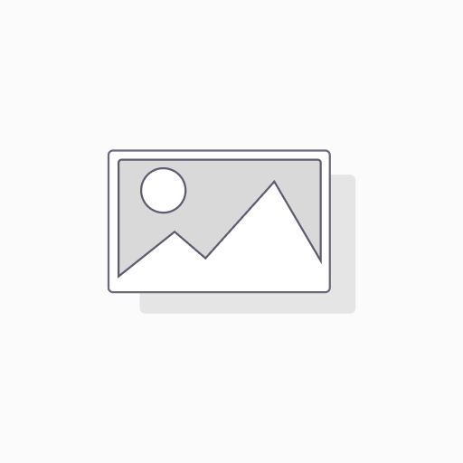 [85658] 85658 Del FleetLine HD Amortiguadores